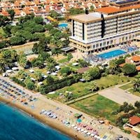 Informații generale preview