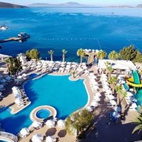 Informații generale preview