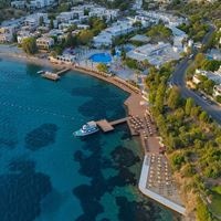 Informații generale preview