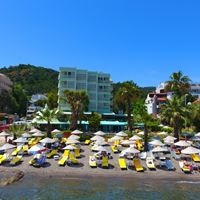 Informații generale preview