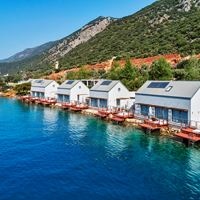 Informații generale preview