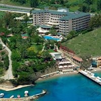 Informații generale preview