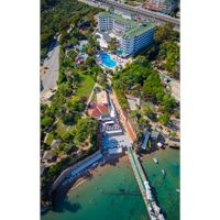 Informații generale preview