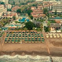 Informații generale preview