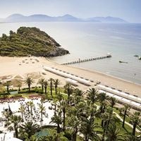 Informații generale preview