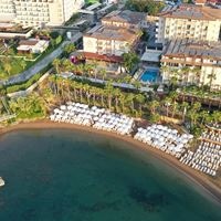 Informații generale preview