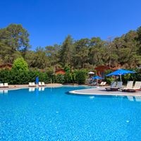 Piscine preview