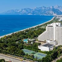 Informații generale preview