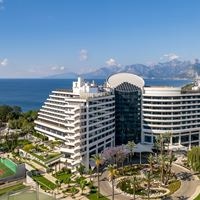 Informații generale preview