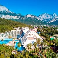 Informații generale preview
