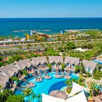 Informații generale preview