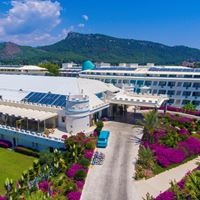 Informații generale preview