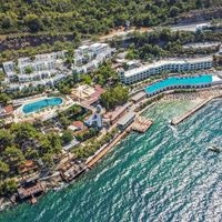 Informații generale preview