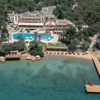 Informații generale preview