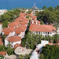 Informații generale preview