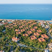 Informații generale preview