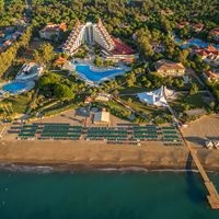 Informații generale preview