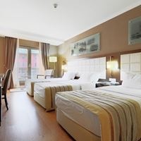 Informații generale preview