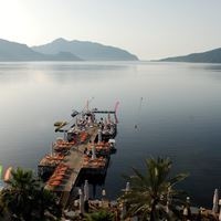Informații generale preview