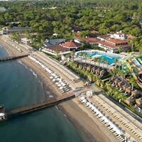 Informații generale preview