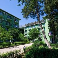 Informații generale preview