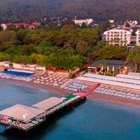 Informații generale preview