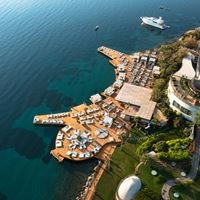 Informații generale preview