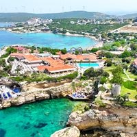 Informații generale preview