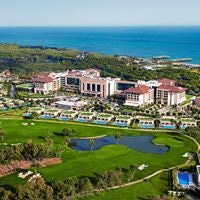 Informații generale preview