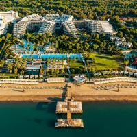 Informații generale preview