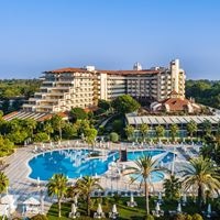 Informații generale preview