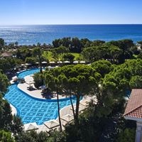 Informații generale preview