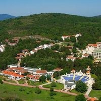 Informații generale preview
