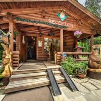 Informații generale preview