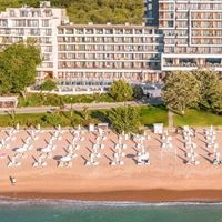 Informații generale preview