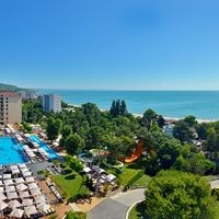 Informații generale preview