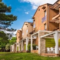 Informații generale preview