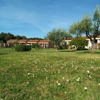 Informații generale preview