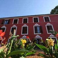 Informații generale preview