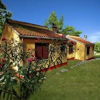 Informații generale preview