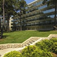 Informații generale preview