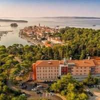 Informații generale preview