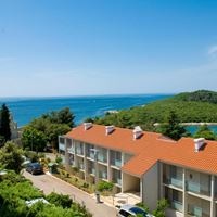 Informații generale preview