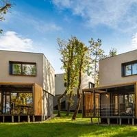 Informații generale preview