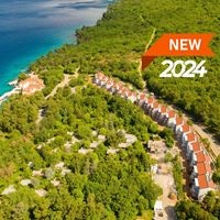 Informații generale preview