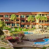 Informații generale preview