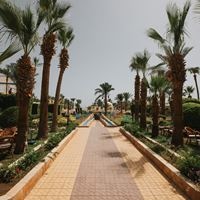 Informații generale preview