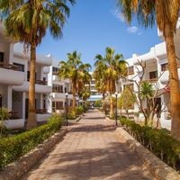 Informații generale preview