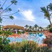 Informații generale preview