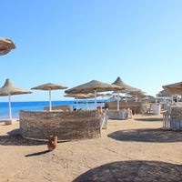 Plajă preview